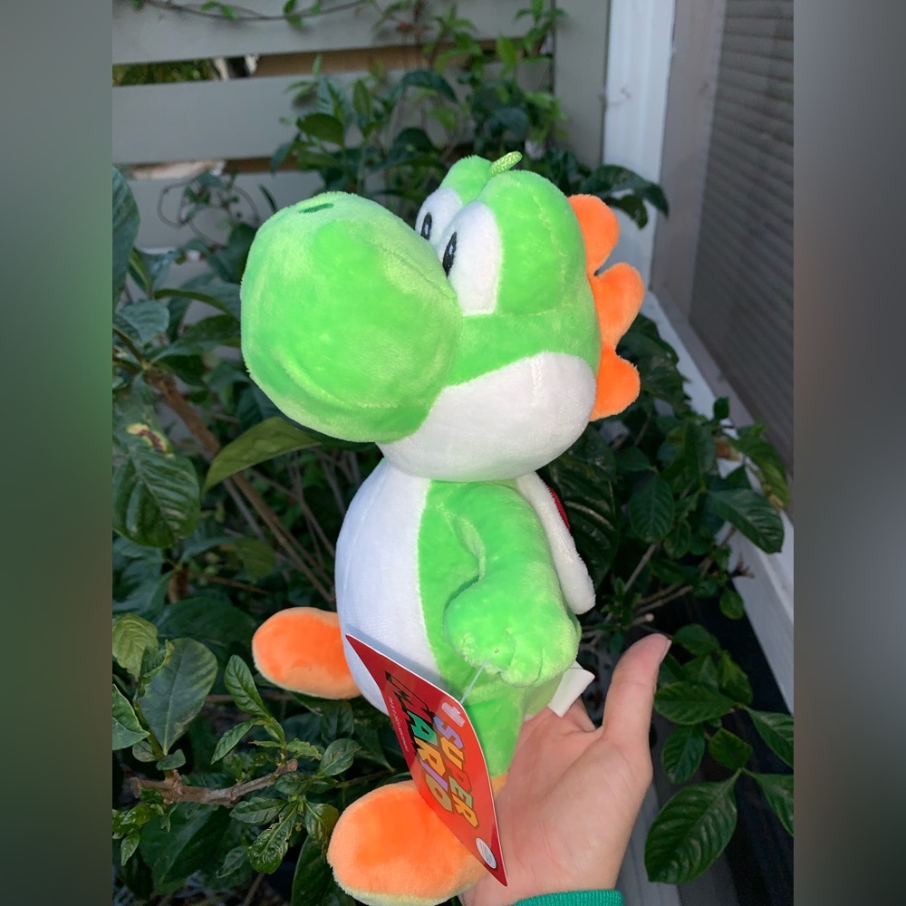 ⭐️ 💚 Mini Yoshi! 💚 ⭐️
